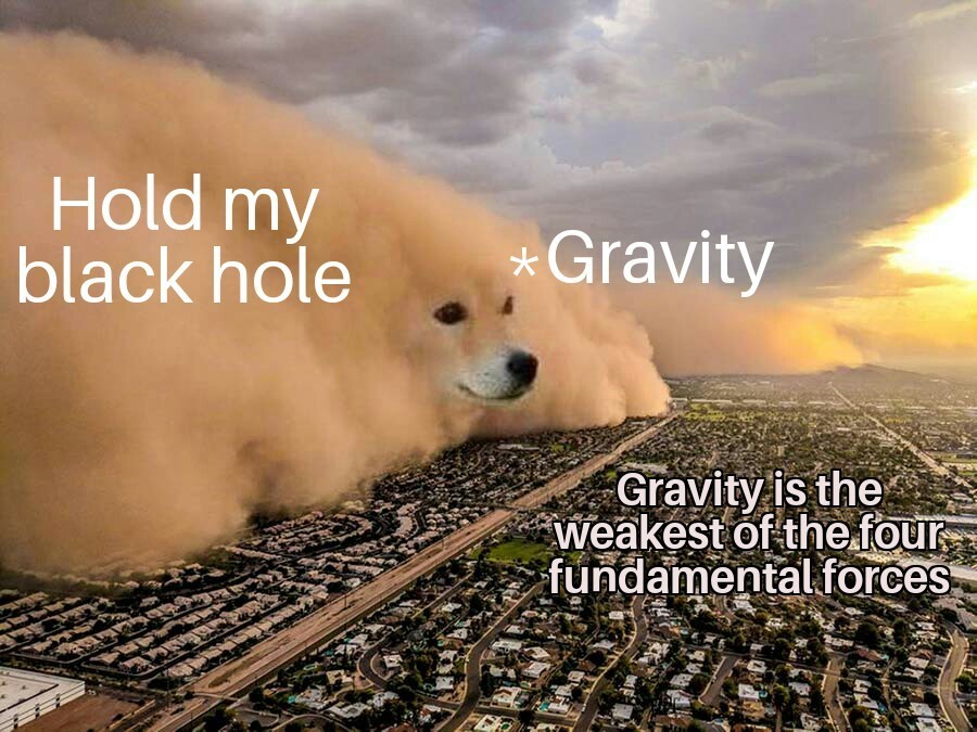 Dust Storm Dog: Gravity As Weakest Force Crushed By Black Hole Meme