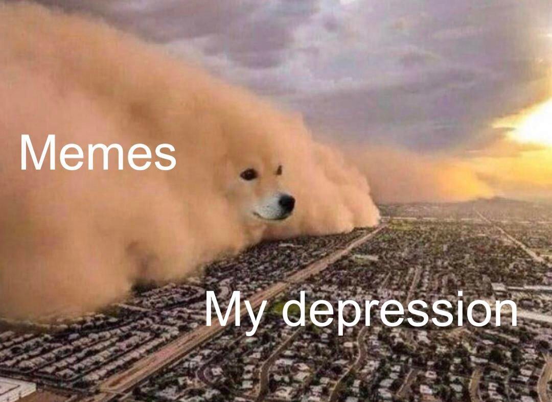 Dust Storm Dog: Using Memes To Overcome Depression Dog Meme