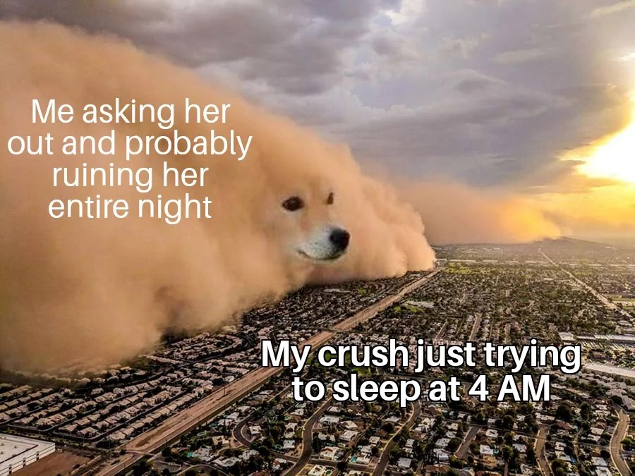 Dust Storm Dog: Ruining My Crush's Night With A Late Text Meme