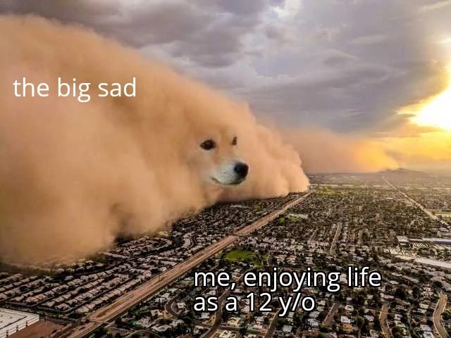 Dust Storm Dog: 12-Year-Old Enjoying Life Ignoring The Big Sad Meme
