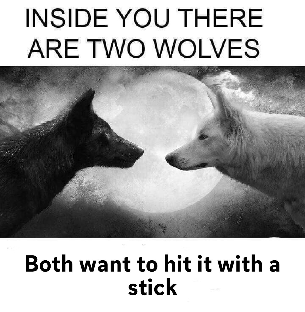 Two Wolves Inside You: Both Want To Hit It With A Stick Joke