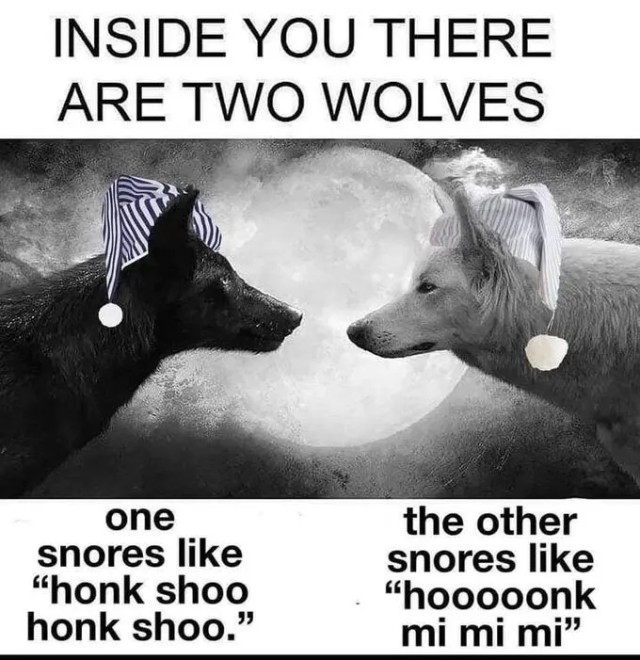 Two Wolves Inside You: Snoring Sounds Funny Sleep Parody
