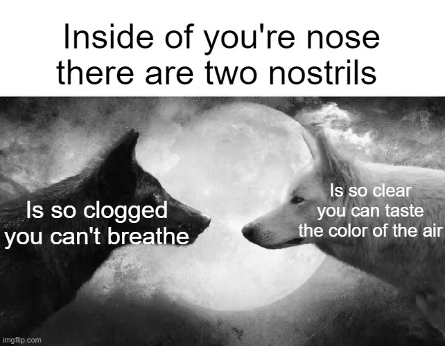 Two Wolves Inside You: Nostril Clogged Vs Clear Nose Parody