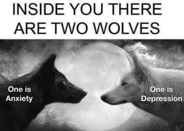 Two Wolves Inside You: Anxiety Vs Depression Mental Health Parody