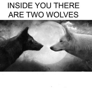 There Are Two Wolves Inside You Meme Template