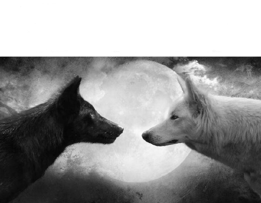 There Are Two Wolves Inside You Meme Template(Blank)