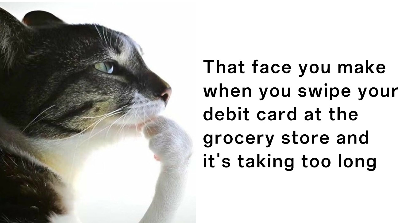 Thinking cat meme judging slow grocery checkout card swipe