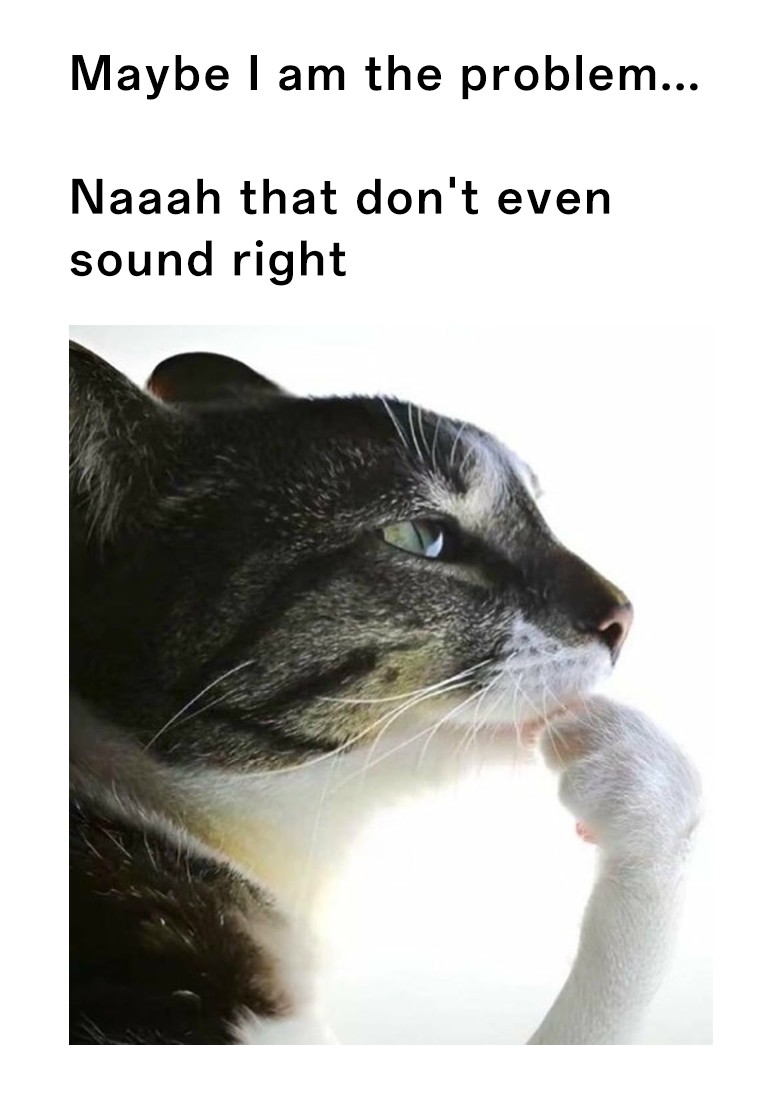 Thinking cat meme going from self-blame to instant denial