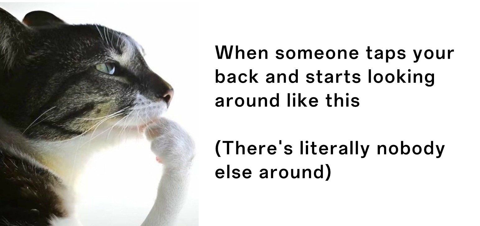 Thinking cat meme confused after someone taps your back and looks around