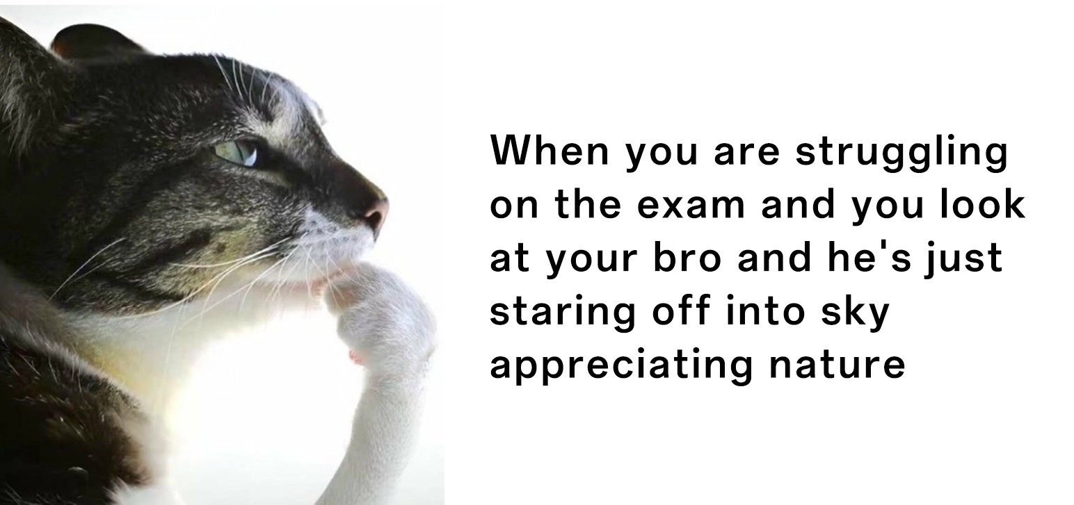 Thinking cat meme confused by classmate daydreaming on exam