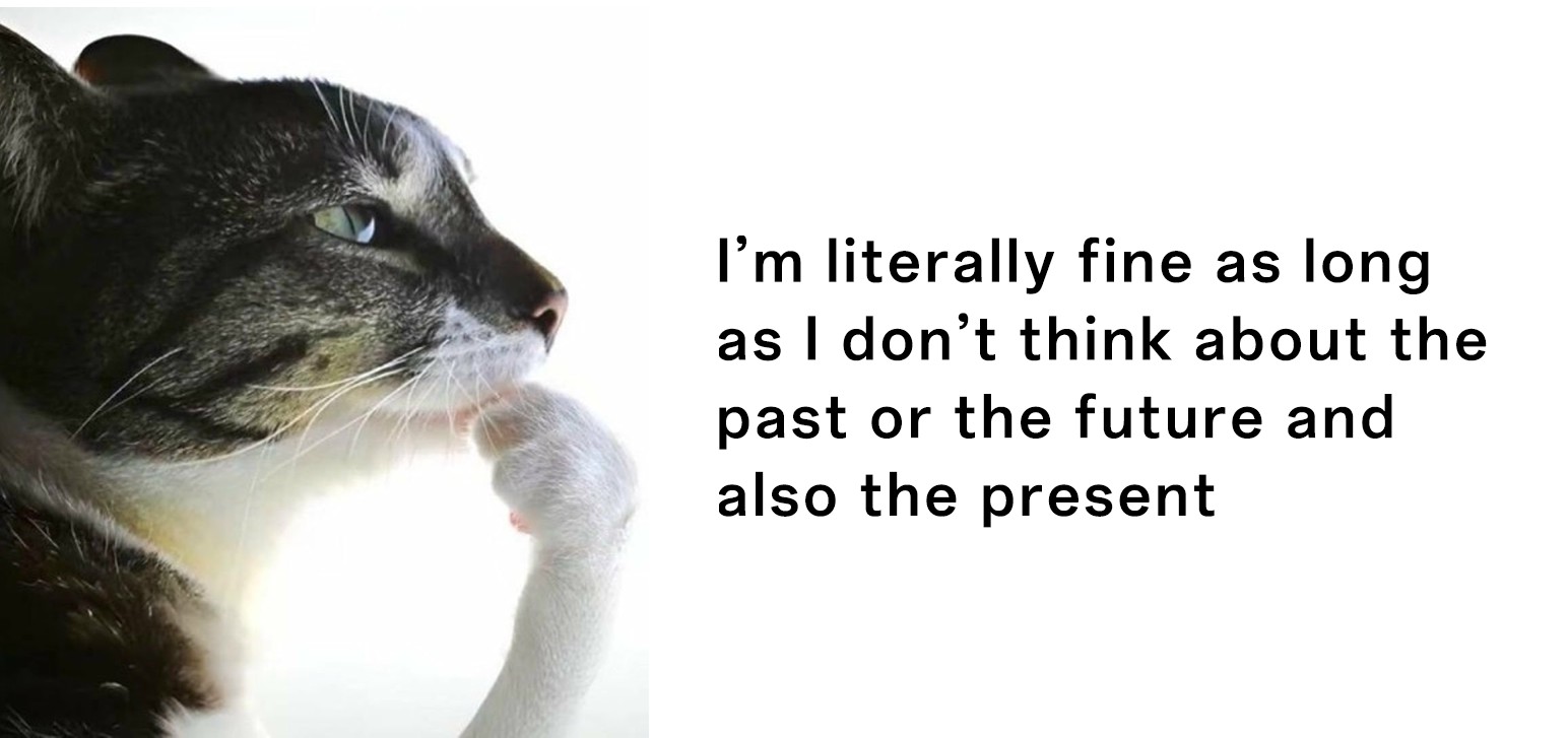 Thinking cat meme mentally avoiding all time periods to stay calm