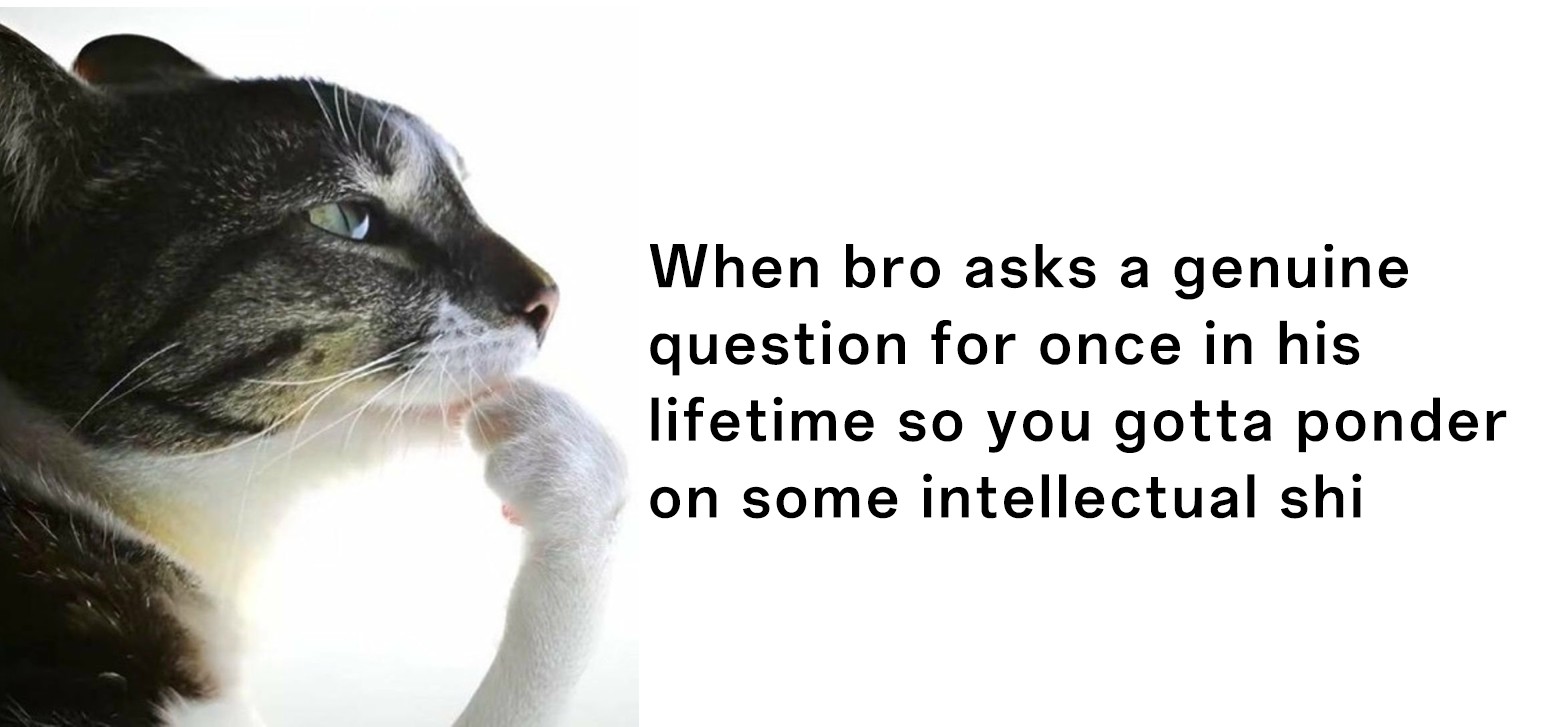 Thinking cat meme trying to sound smart for a genuine question