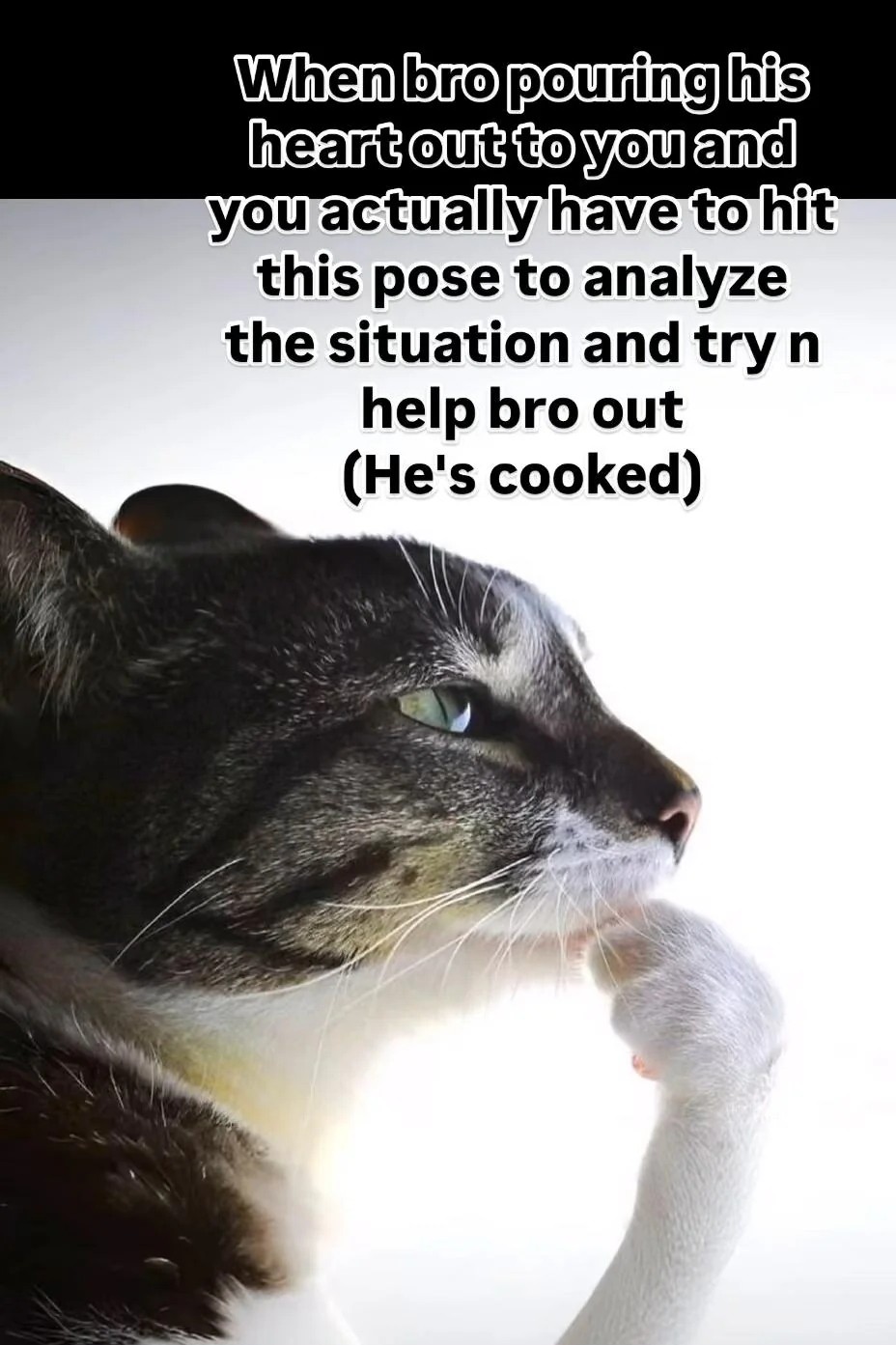 Thinking cat meme trying to help a friend pouring his heart out