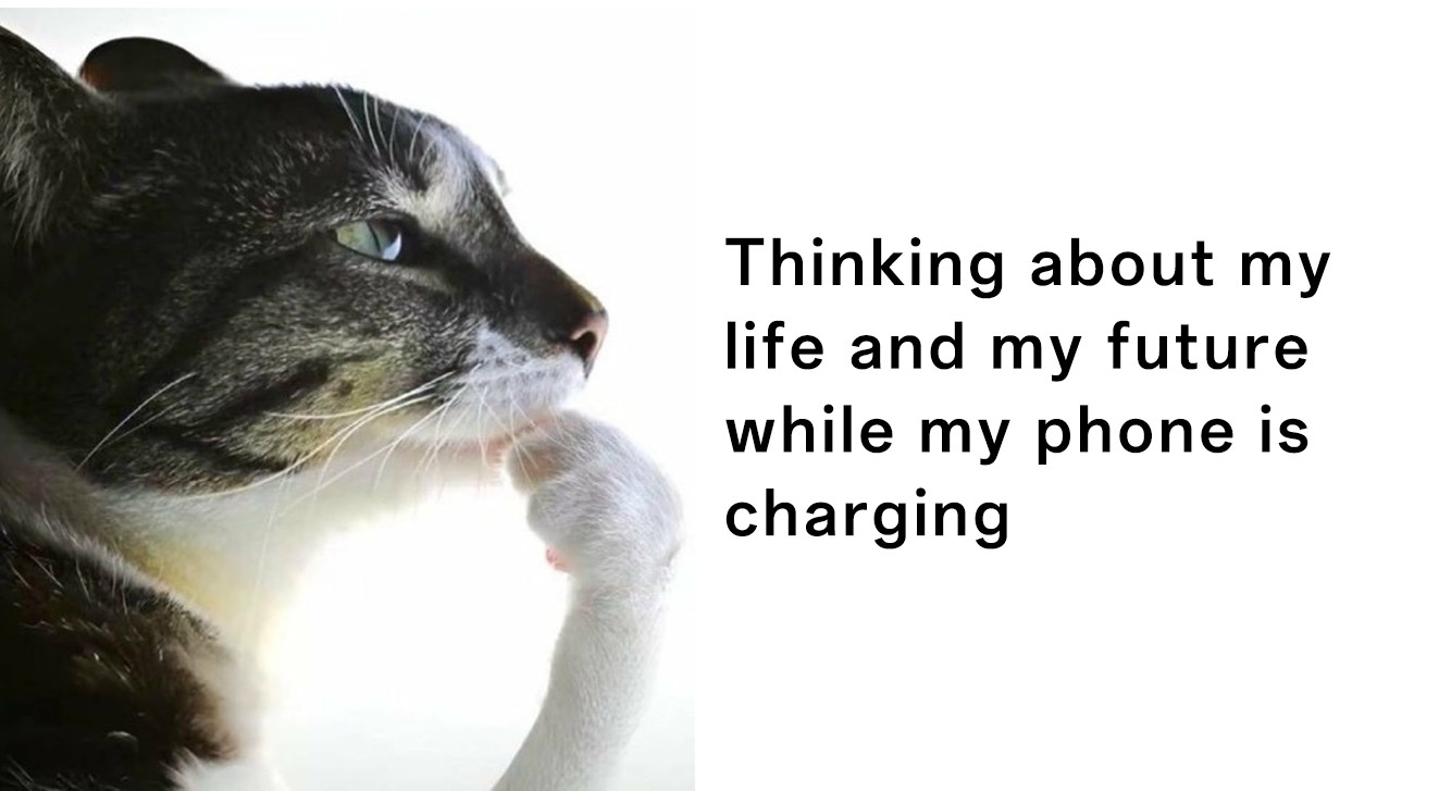 Thinking cat meme contemplating life while phone is charging