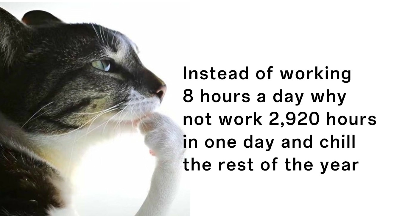 Thinking cat meme joking about working 2920 hours in a day