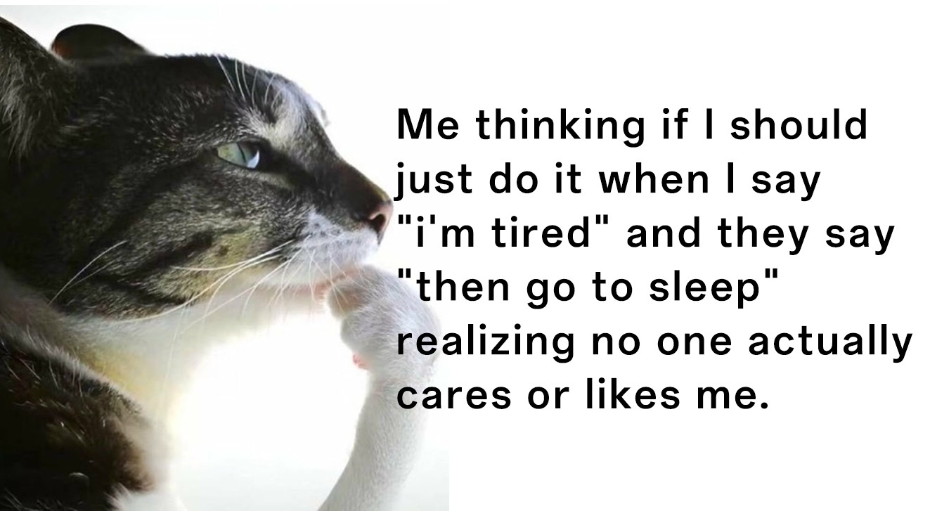 Thinking cat meme spiraling after unhelpful tired response