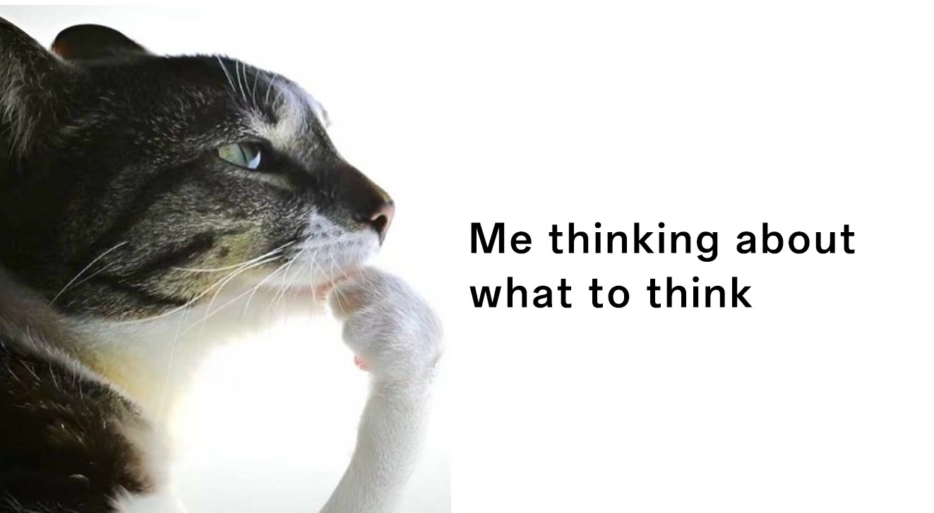 Thinking cat meme stuck in a loop of thinking about thinking