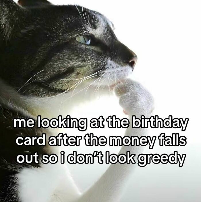 Thinking cat meme avoiding eye contact with birthday money