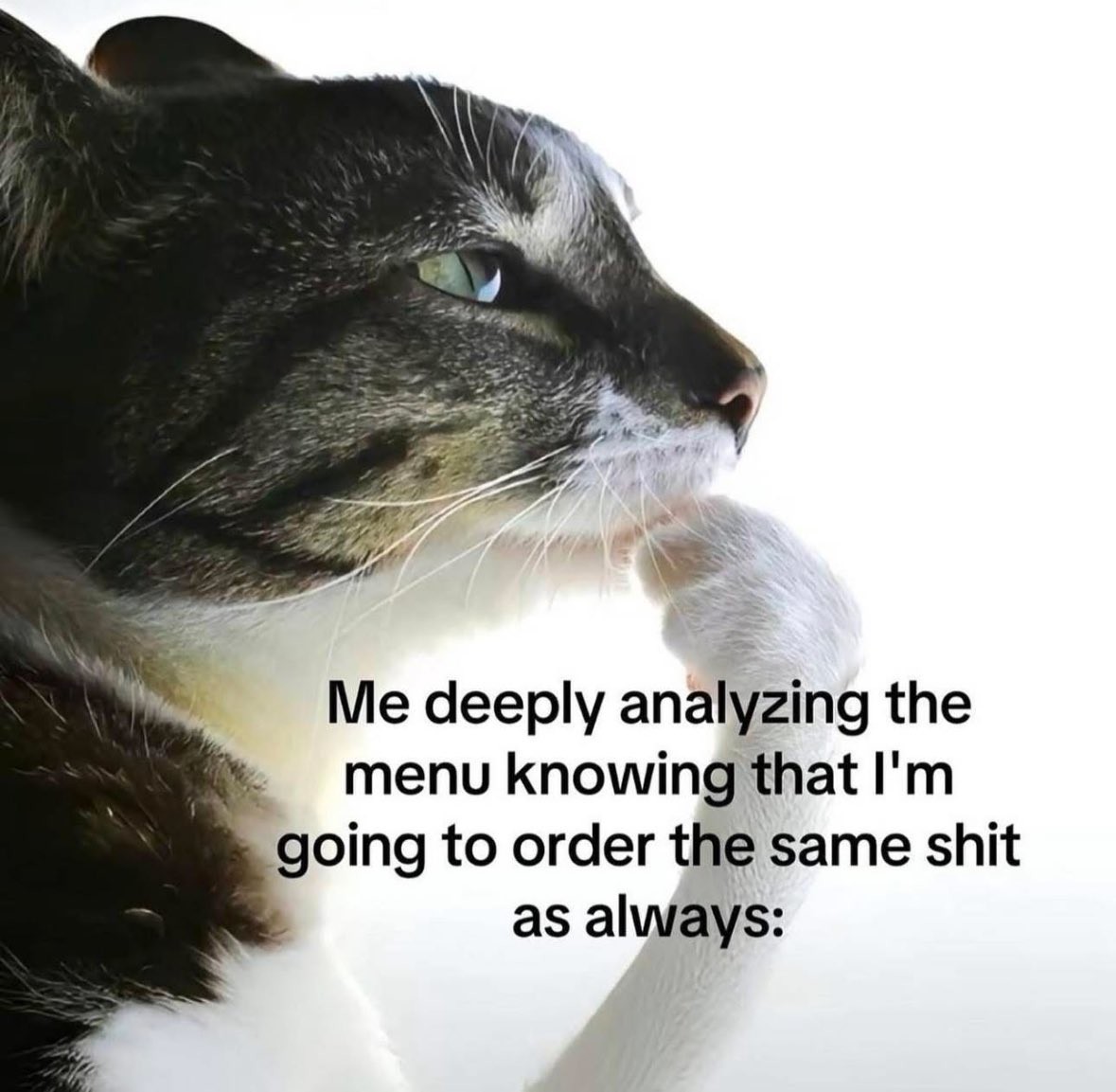 Thinking cat meme overanalyzing a menu just to order usual food