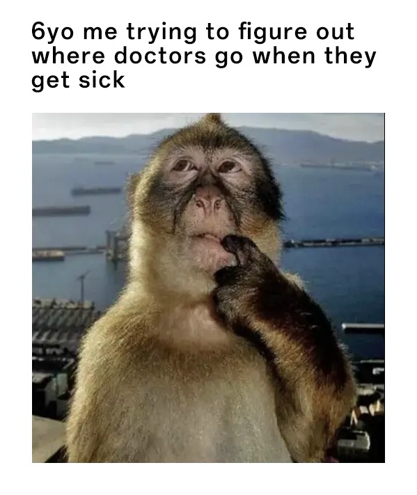 Thinking Monkey: 6Yo Monkey Meme Wonders Where Doctors Go When Sick