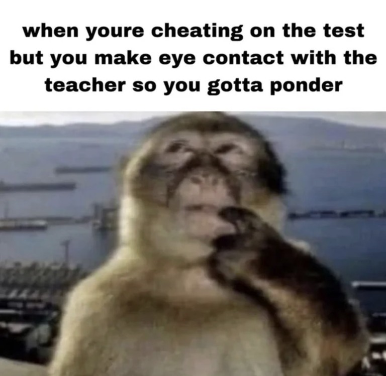Thinking Monkey: Monkey Meme Depicts Test Cheating Eye Contact With Teacher