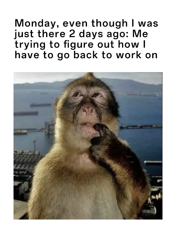 Thinking Monkey: Monkey Meme Depicts Monday Work Return Dread After Weekend
