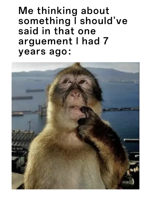 Thinking Monkey: Monkey Meme Depicts Ruminating On Old Argument 7 Years Later