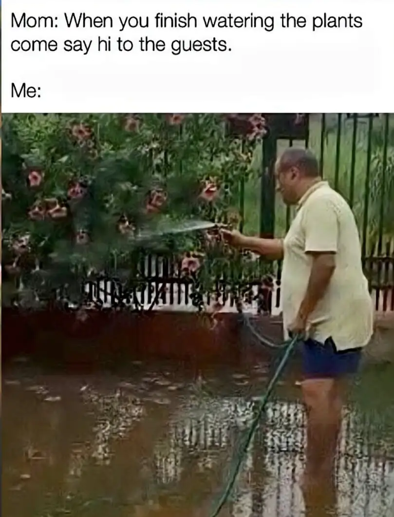 Relatable Avoiding Guests Meme Watering Plants