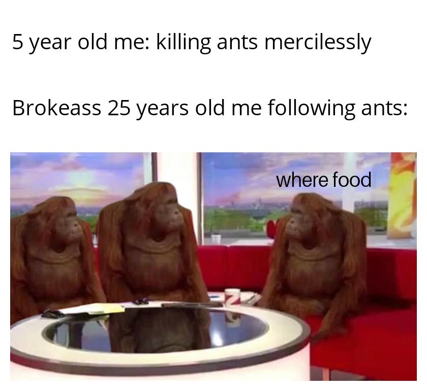 Where Banana: 5 Year Old Me Vs 25 Year Old Me Following Ants For Food Meme Where Banana: 5 Year Old Me Vs 25 Year Old Me Following Ants For Food Meme
