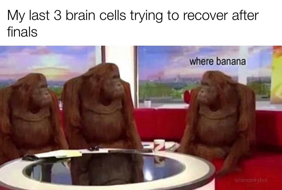Where Banana: Relatable Finals Burnout Meme Brain Dead Students Where Banana: Relatable Finals Burnout Meme Brain Dead Students