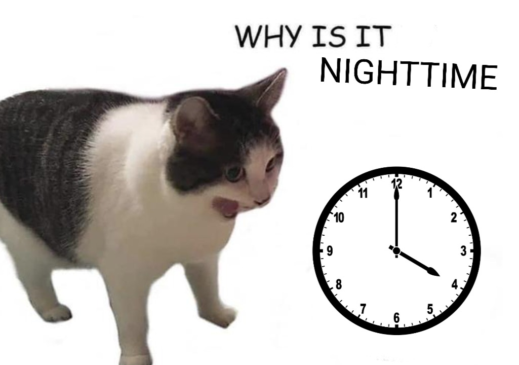 Why it empty meme cat shocked by how fast the day turned to night
