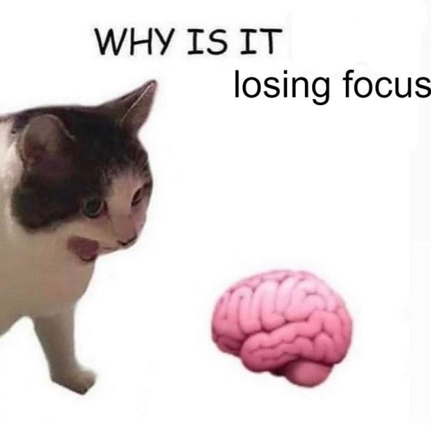 Why it empty cat meme confused why its brain keeps losing focus