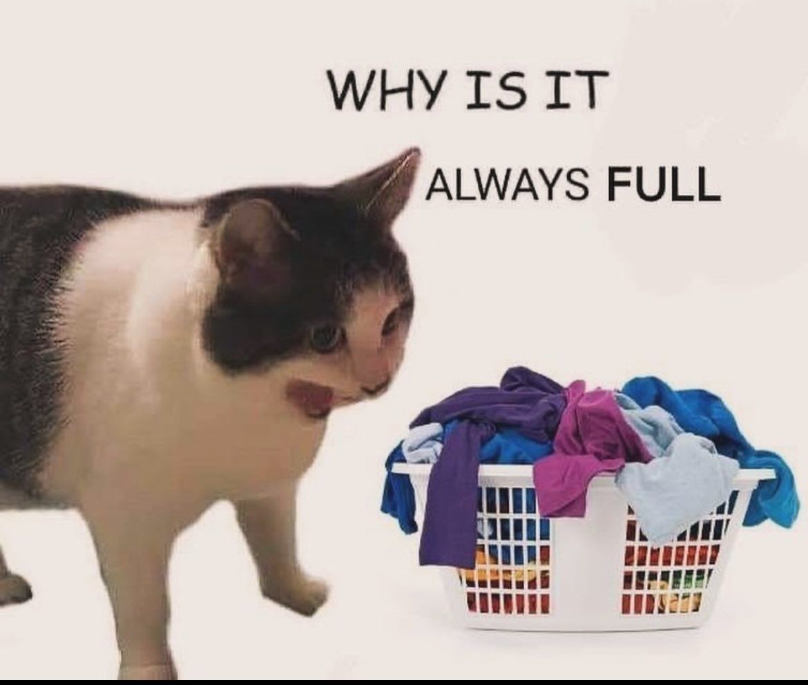 Why it empty cat meme annoyed by always full laundry basket