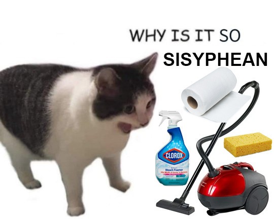 Why it empty cat meme about endless sisyphean cleaning tasks