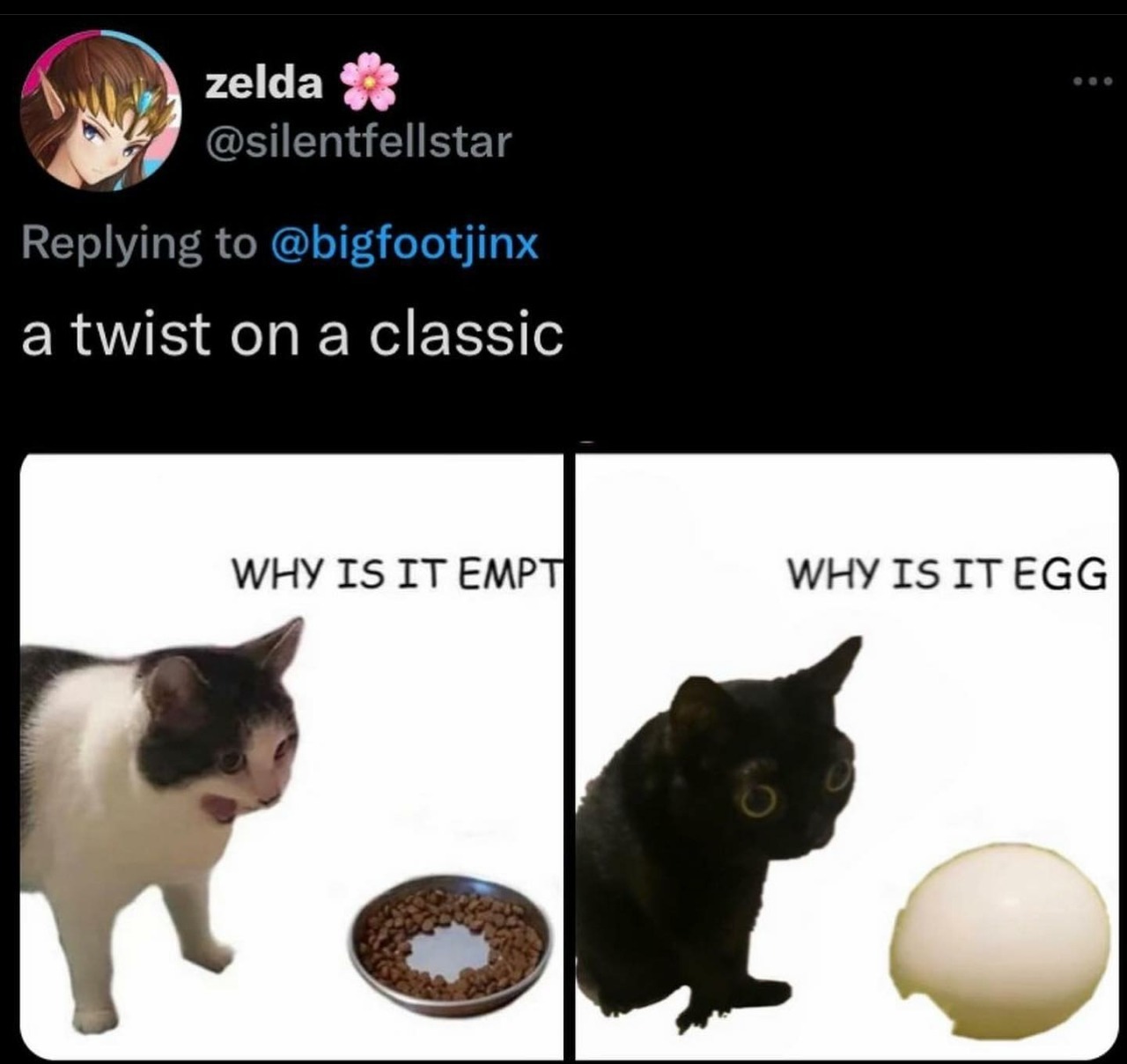 Why it empty cat meme twist with why is it egg variation