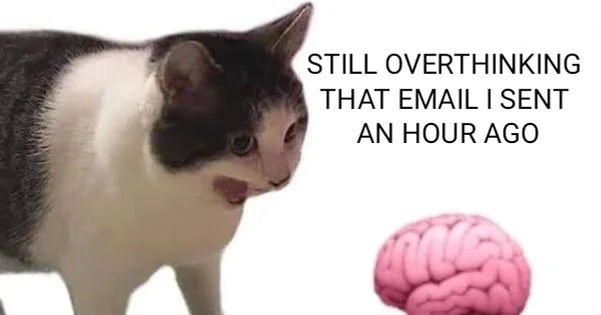 Why it empty cat meme overthinking the email sent an hour ago