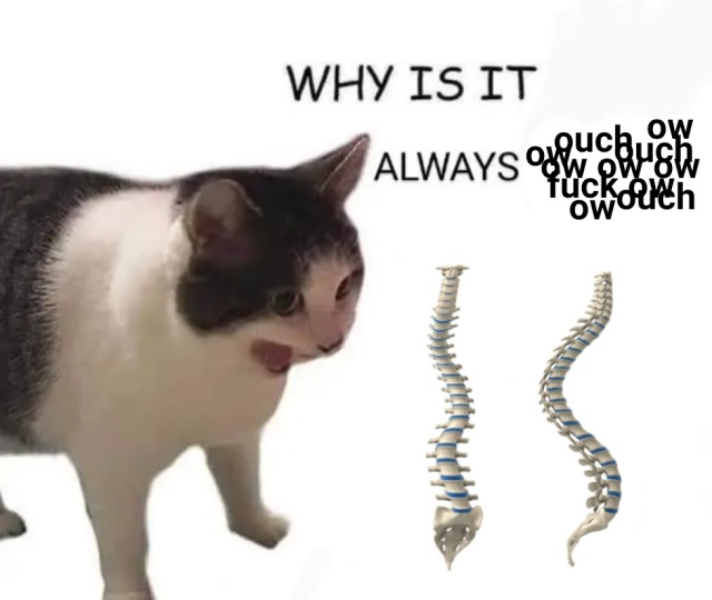 Why it empty cat meme complaining about constant back pain ouch