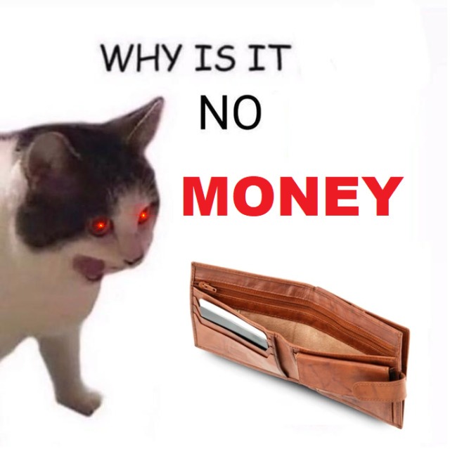 Why it empty meme confused cat wondering where all the money went