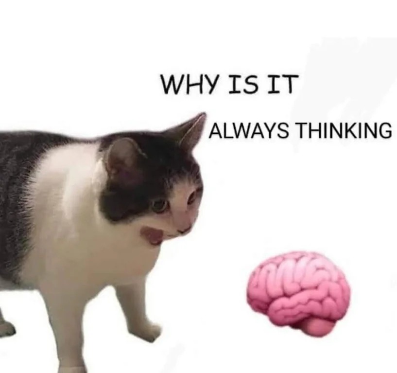 Why it empty cat meme confused why brain is always thinking