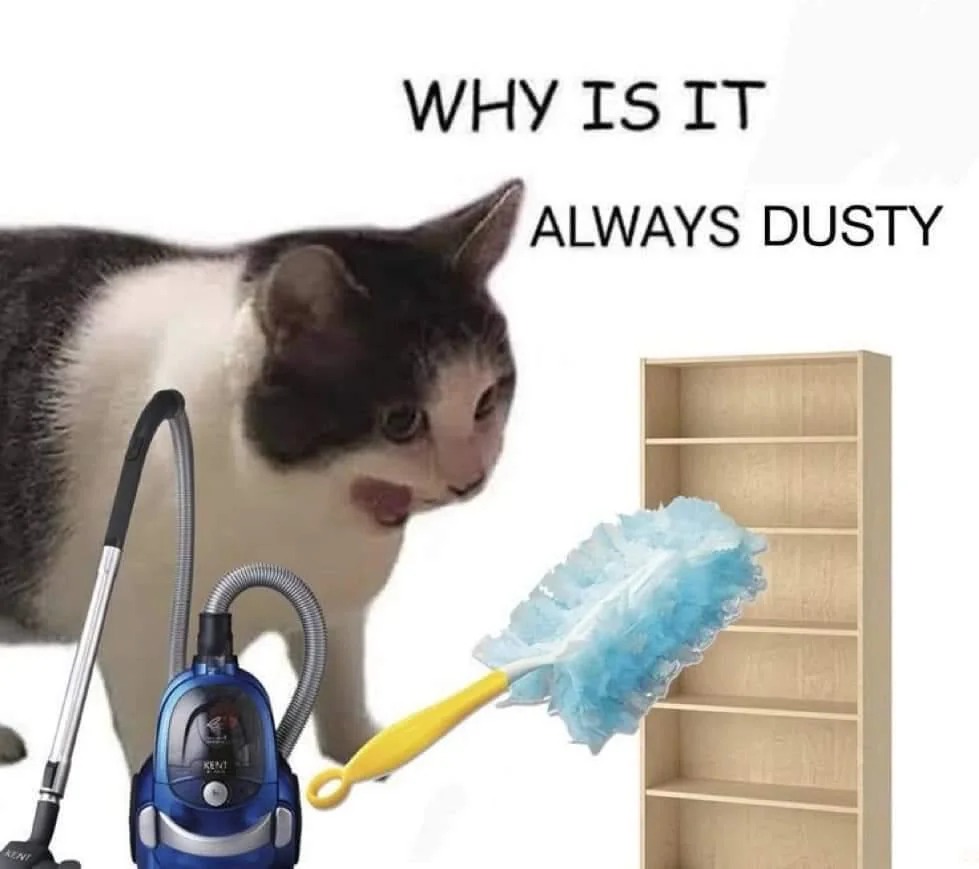 Why it empty cat meme confused why home is always so dusty