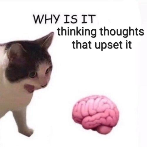 Why it empty cat meme annoyed by upsetting thoughts from its brain