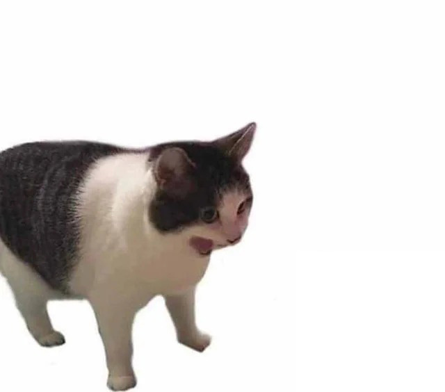 Why It Empty Meme Template