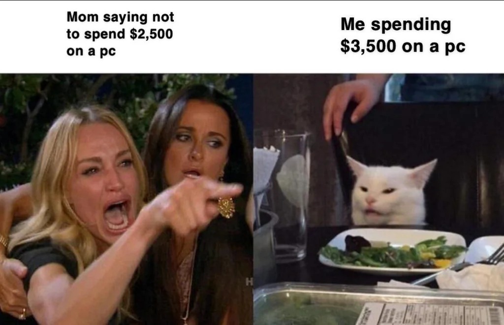 Woman yelling at a cat meme about ignoring budget limits for a pc build