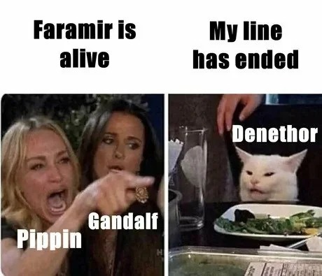 Woman yelling at a cat meme about lord of the rings denethor and faramir