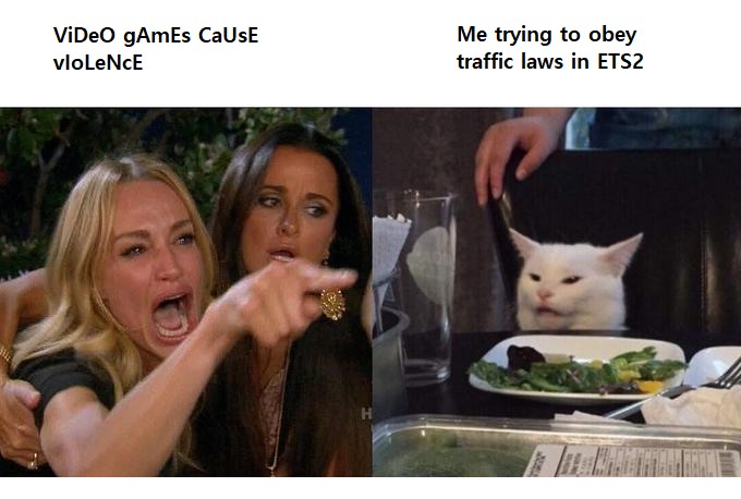 Woman yelling at a cat meme about video game stereotypes vs ets2 driving