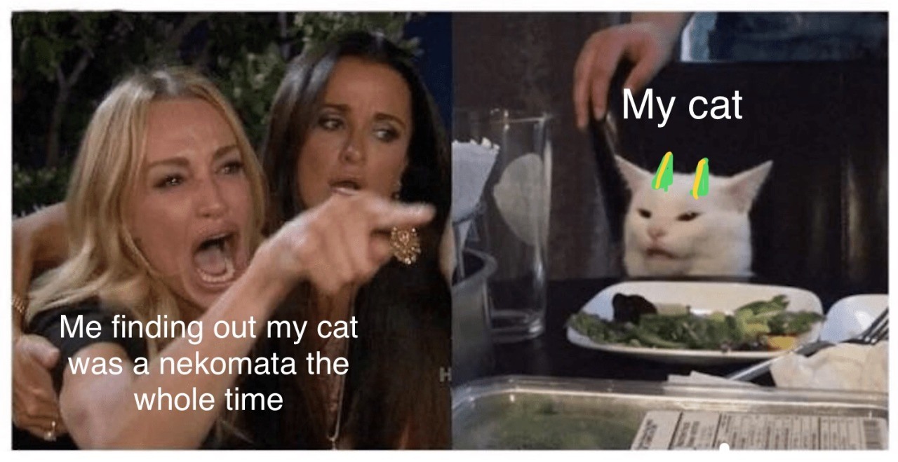 Woman yelling at a cat meme about realizing cat is a japanese nekomata spirit