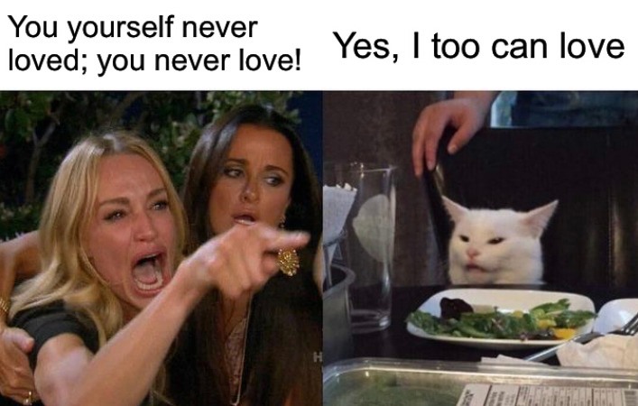 Woman yelling at a cat meme about being accused of never loving