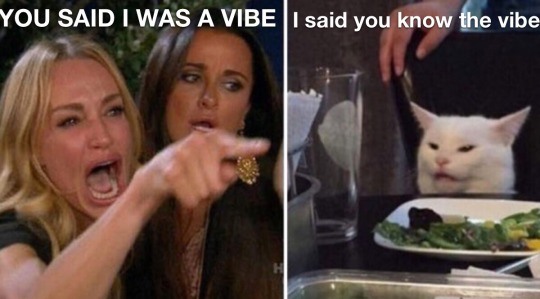 Woman yelling at a cat meme about vibe conversation misunderstanding