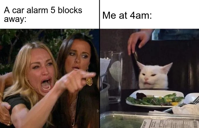 Woman yelling at a cat meme about being annoyed by distant car alarms