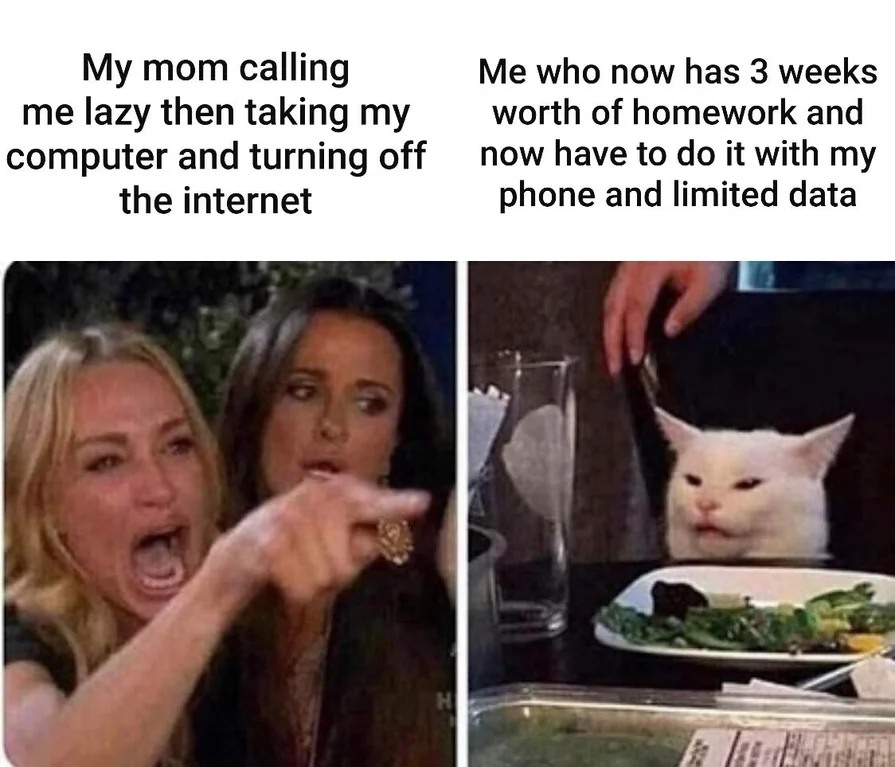 Woman yelling at a cat meme about mom taking computer and homework chaos
